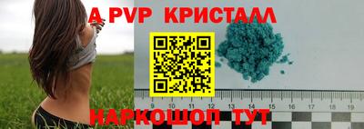 прущие грибы Каменск-Шахтинский