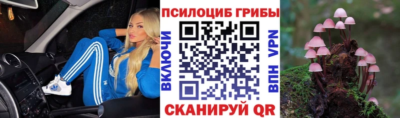 Галлюциногенные грибы MAGIC MUSHROOMS  Аксай 