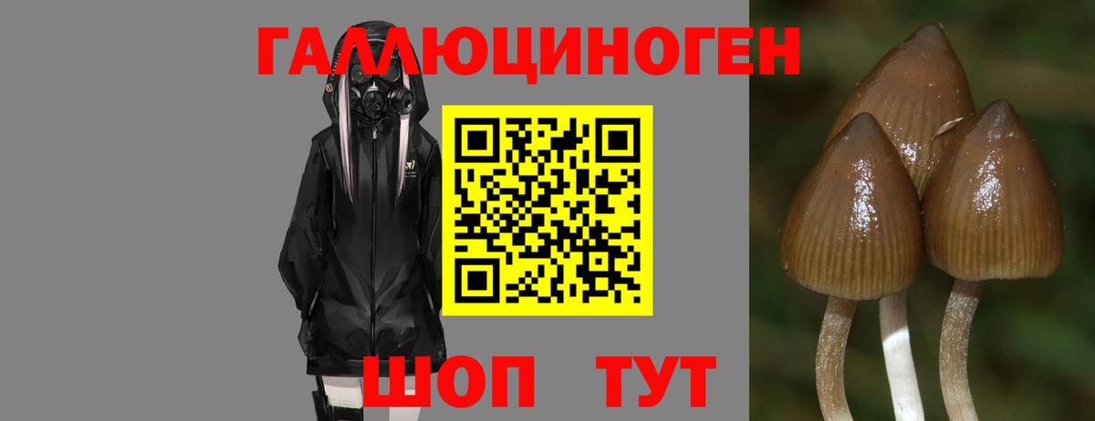 Галлюциногенные грибы мухоморы  Вход с VPN  наркошоп  Аксай 